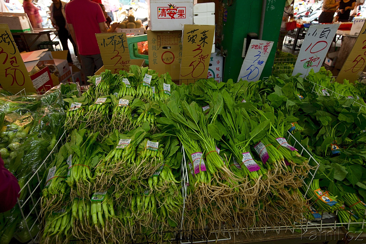 img00009.jpg