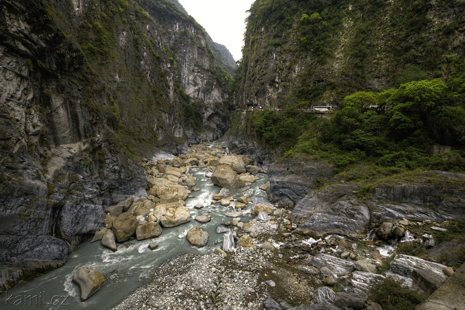 img00007.jpg